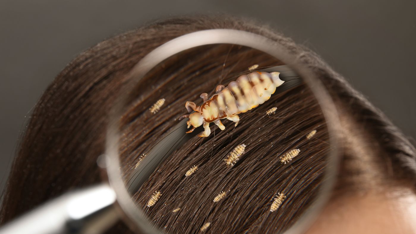 Petua Menghidu Rambut Tanpa Pewangi: 5 Langkah Mudah Untuk Kebaikan Rambut Dan Sihat